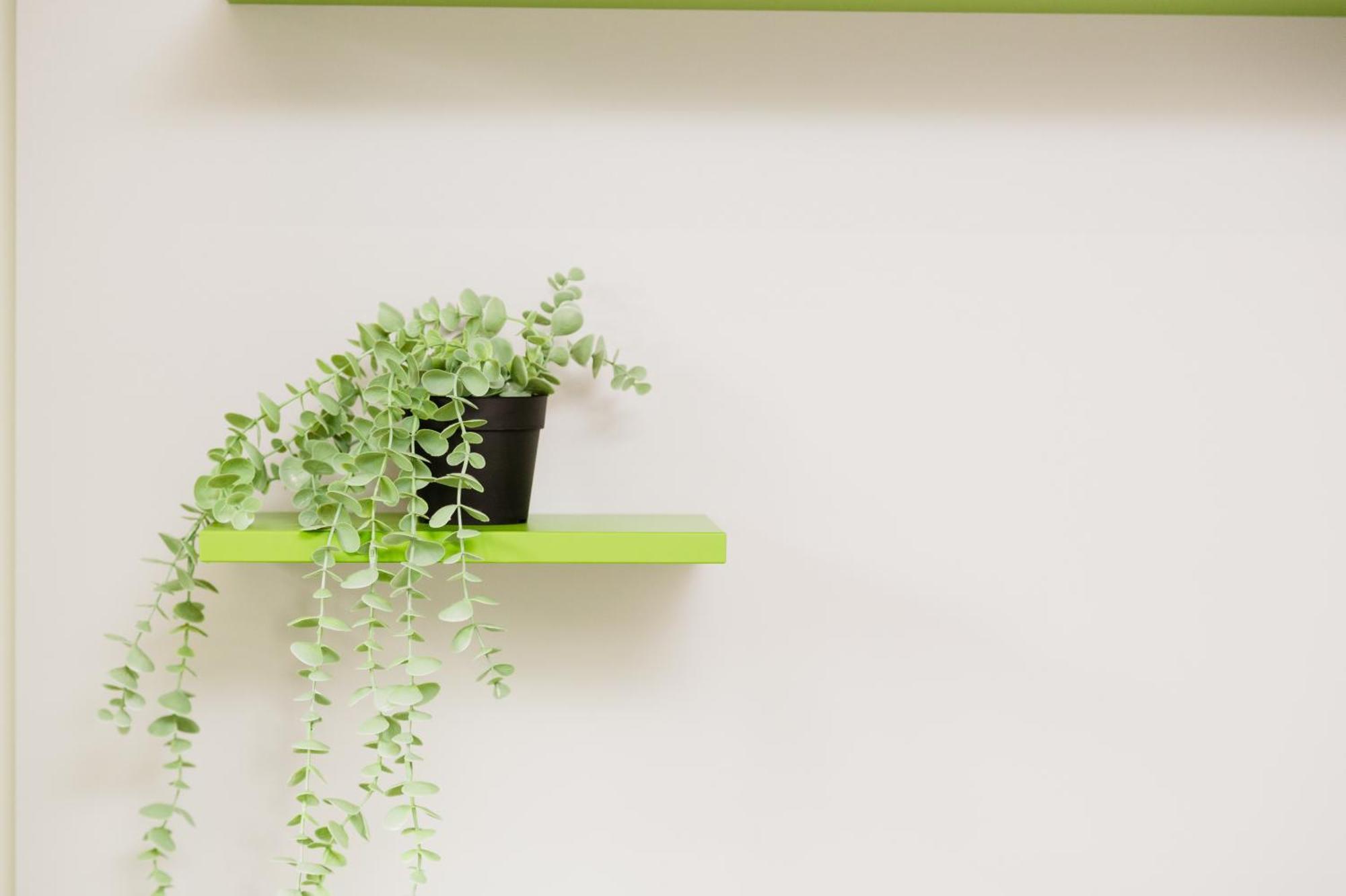 Sofia 5, For Couples -by Easylife Swiss Apartment Lugano